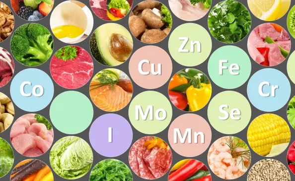 Khoáng chất – nền tảng âm thầm hỗ trợ hoạt động của cơ thể